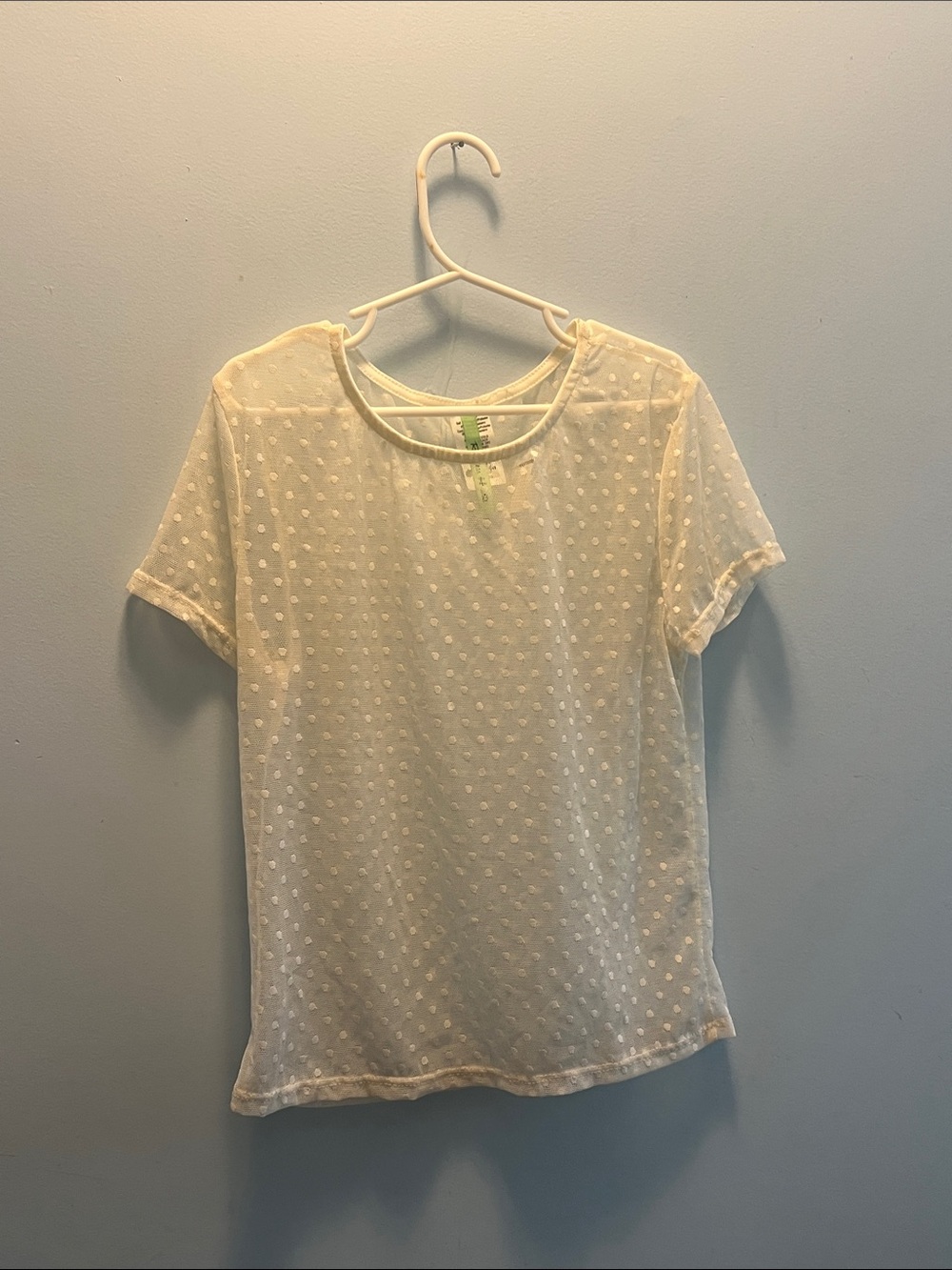 Reckless Hearts sheer swiss dot short sleeve top - cream color- size small